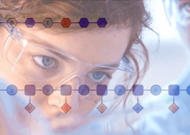 The Comprehensive Impact of Software Discovery Platforms
