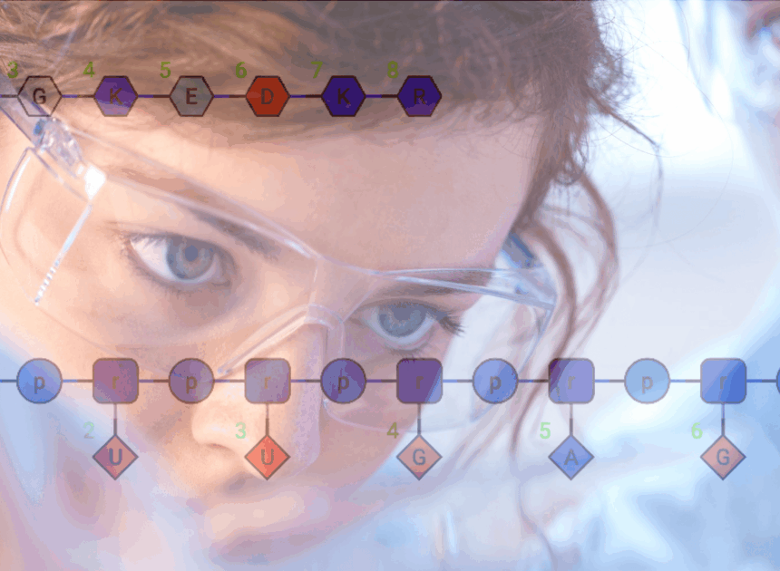 The Comprehensive Impact of Software Discovery Platforms