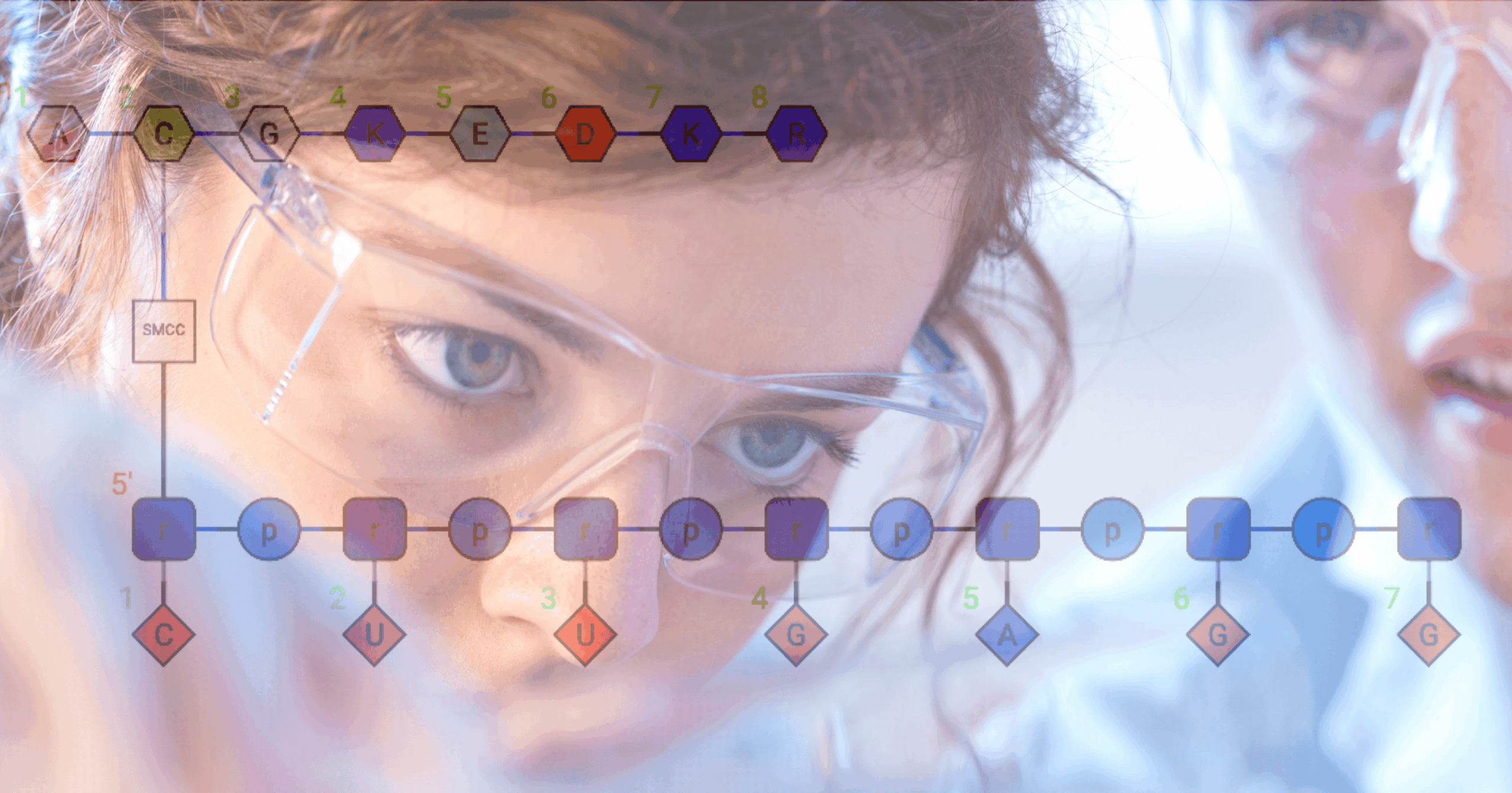 The Comprehensive Impact of Software Discovery Platforms